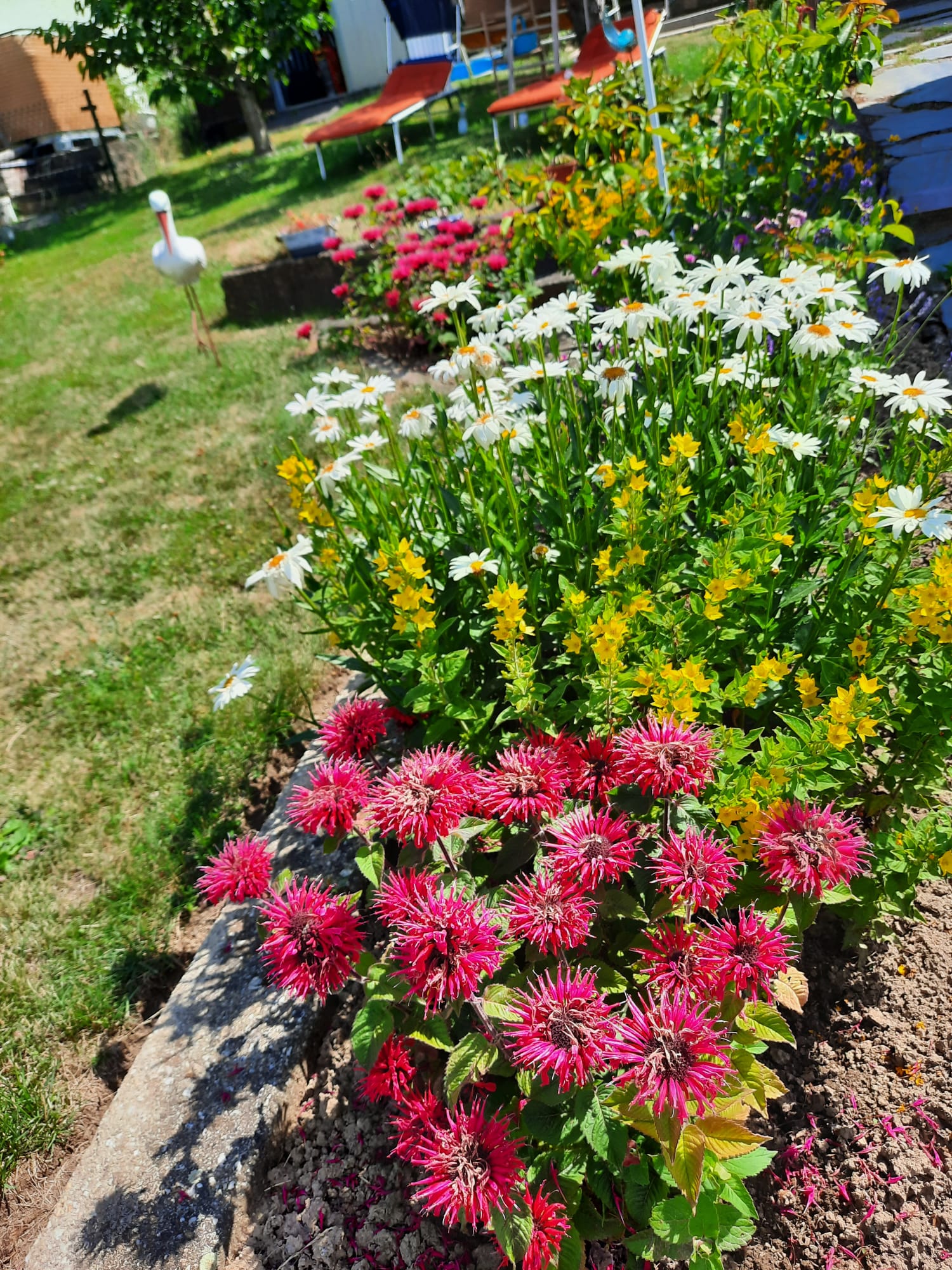 KGV Sonnenschen.e.V Gera Gartenimpressionen